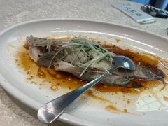 -大东海海鲜酒楼(渔人码头总店)