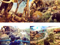 -陕西自然博物馆