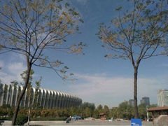 iphone_upload_pic-奥体中心游泳馆