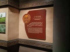 -鸿山遗址博物馆