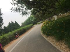 -永定河休闲森林公园