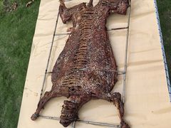 -一麦·龙岛(上海青浦店)