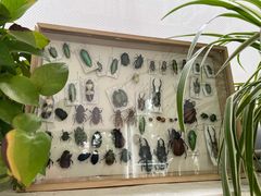 -TIENSTIENS将将(三里屯店)