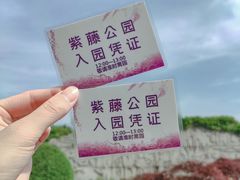 -嘉定紫藤园