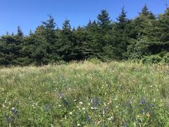 -白草畔自然风景区