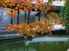 -秋霞圃