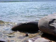 -西昌邛海湿地