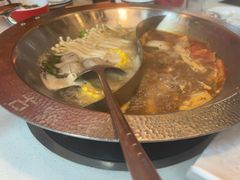 -古乐牛香·鲜牛肉牛杂火锅(新区店)