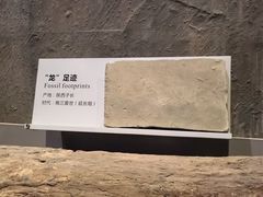 -长江文明馆