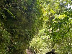 -碧峰峡风景区