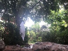 -河源客天下-温泉小镇