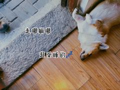 -阿木舂记·特色小吃(平江路店)