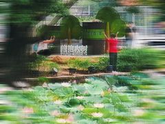 -荔湾湖公园