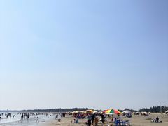 -江山半岛白浪滩景区