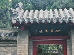 -巩本明鱼屋子