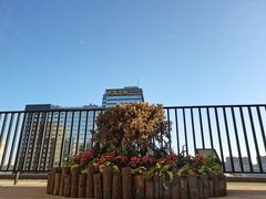 -一品淮扬 · 淮扬菜·北京万达文华酒店