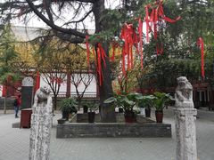 -西安青龙寺遗址景区