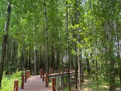 -王家大肉泡馍馆(宝平路8号)