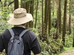 -大罗山风景区