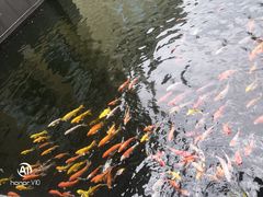 -番禺宾馆丽苑厅