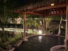 -水底山庄园温泉