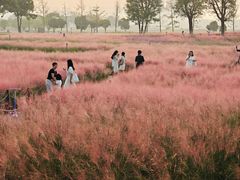 -汉长安城未央宫国家考古遗址公园