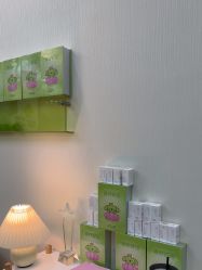 -凡碧诗毛孔清洁收细