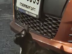 -唐人街(耀华力路)