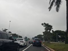 -深圳湾公园(南山区)
