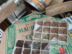 -RUMORS COFFEE ROASTERY鲁马滋咖啡(湖南路店)