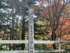 -神户市立六甲山牧场