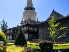 -张掖大佛寺景区