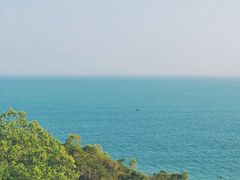 -广东惠东海龟国家级自然保护区