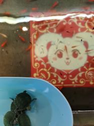 -卡通尼乐园(新达汇三林店)