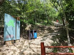 -上海佘山国家森林公园天马山园