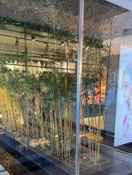 -爱儿美儿童摄影(朝阳公园店)
