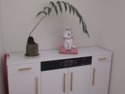 -WENDY·温迪皮肤管理