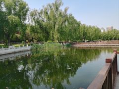 -莲花池公园
