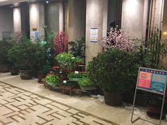 -苏淮景·苏闽融创菜·海鲜(原空港井河轩店)