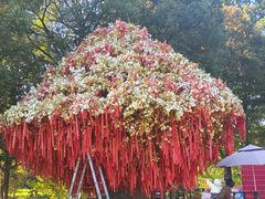 -狼山风景名胜区