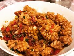 -壹盏灯(惠农店)