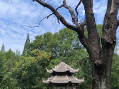 -习家池