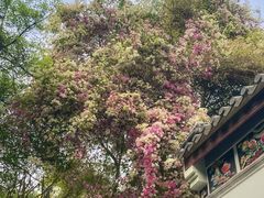 -深圳国际园林花卉博览园