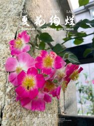-Oasis Beauty水磨坊科技美肤中心