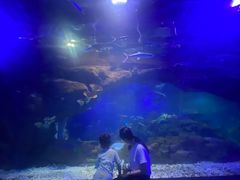 -江和美海洋公园