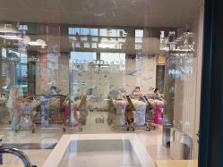 -保丽宝泰母婴护理院·月子中心·产康·中医(常州店)