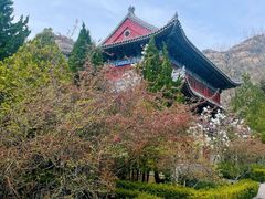 -青岛崂山太清宫