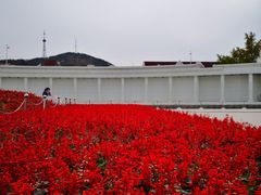 -大连人民广场