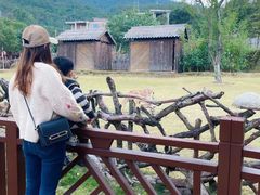 -泉州海丝野生动物世界