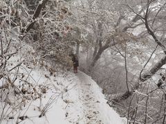 -迪卡侬(南二环店)